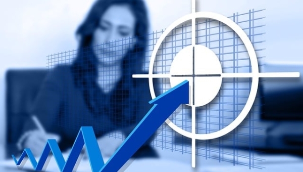 Gestione siti internet